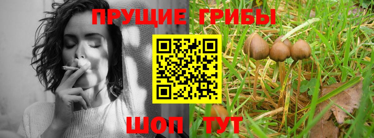 Галлюциногенные грибы мицелий  где можно купить   Новоалтайск  Вход с VPN  Псилоцибиновые грибы MAGIC MUSHROOMS 